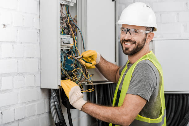 Best Ceiling Fan Installation Electrician  in Norman Park, GA