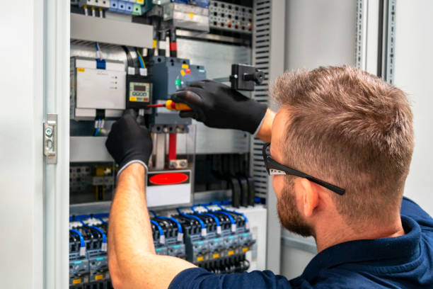 Best Generator Installation Services  in Norman Park, GA